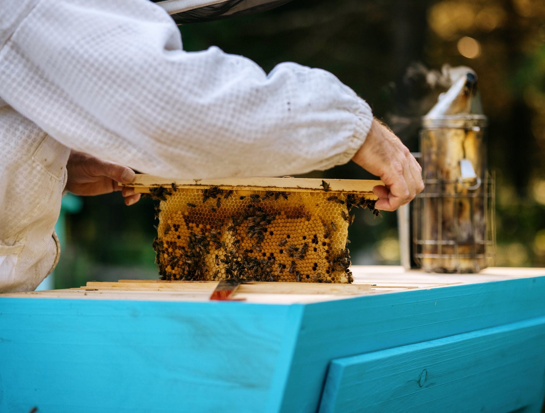 Heritage Bee Co's expert beekeepers harvesting their 100% Ontario wildflower honey.