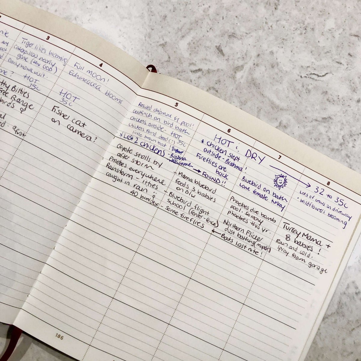 The Naturalist's Notebook