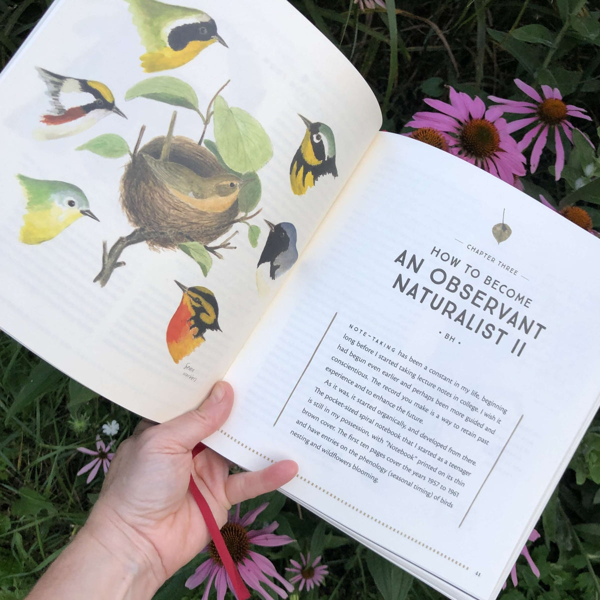 The Naturalist's Notebook