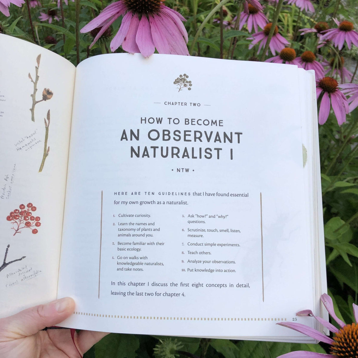 The Naturalist's Notebook