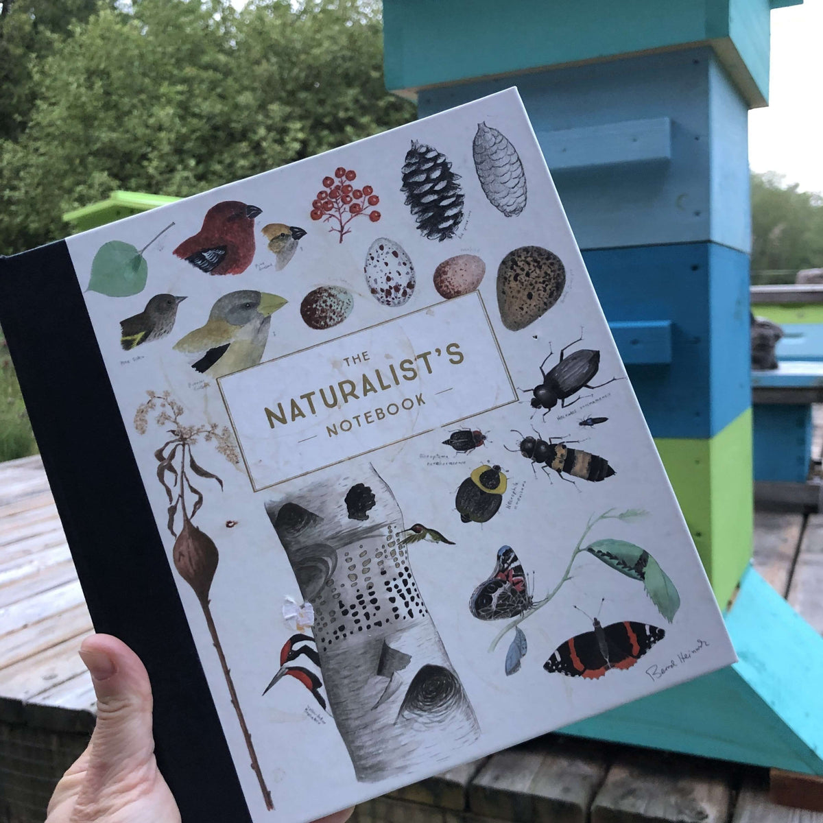 The Naturalist's Notebook