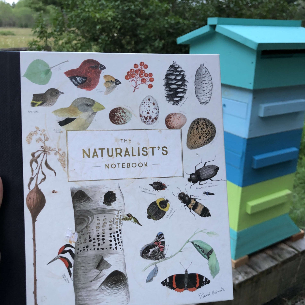 The Naturalist's Notebook