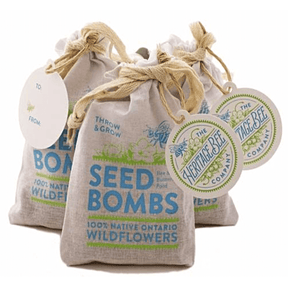 Seed Bombs - Heritage Bee Co.